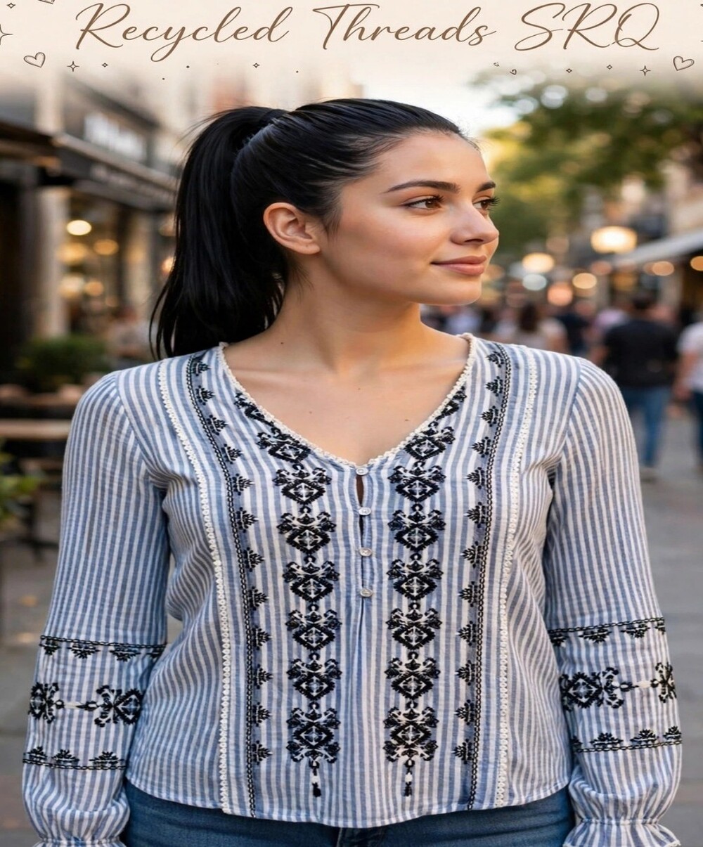 Zara Blue and‎ White embroidered top size small